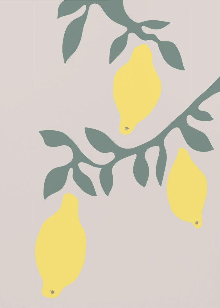Lemons | Poster