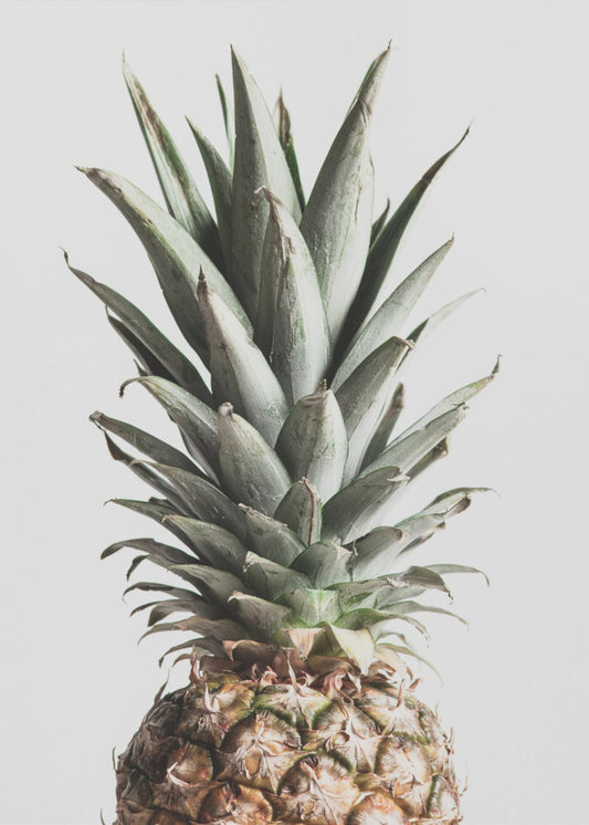 Ananas Naturale | Poster - Stampe d’Arte
