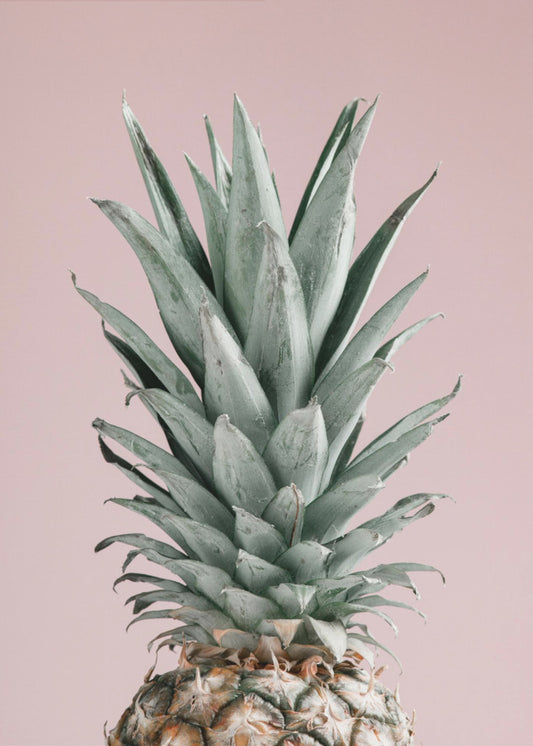 Ananas Rosa 02 | Poster - Stampe d’Arte