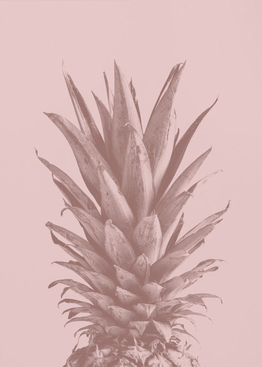 Ananas Rosa 05 | Poster - Stampe d’Arte