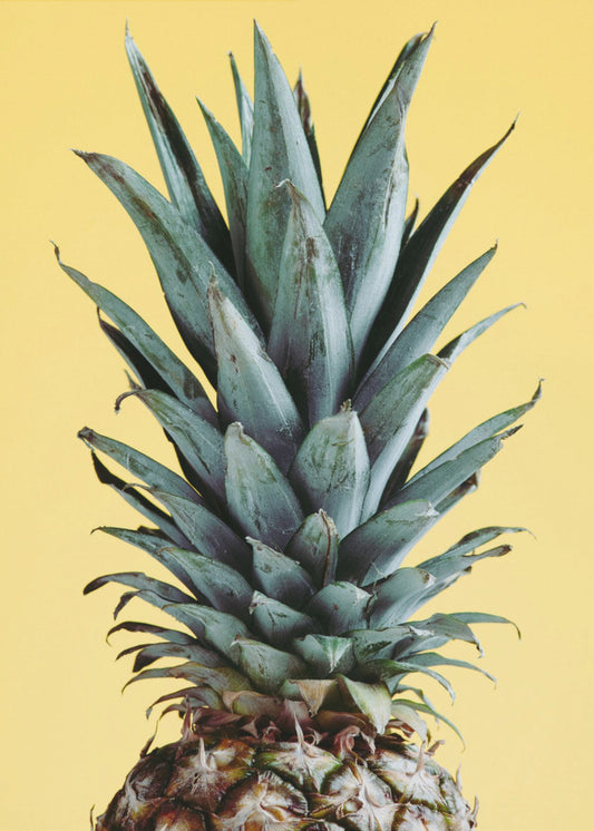 Ananas Giallo 01 | Poster - Stampe d’Arte
