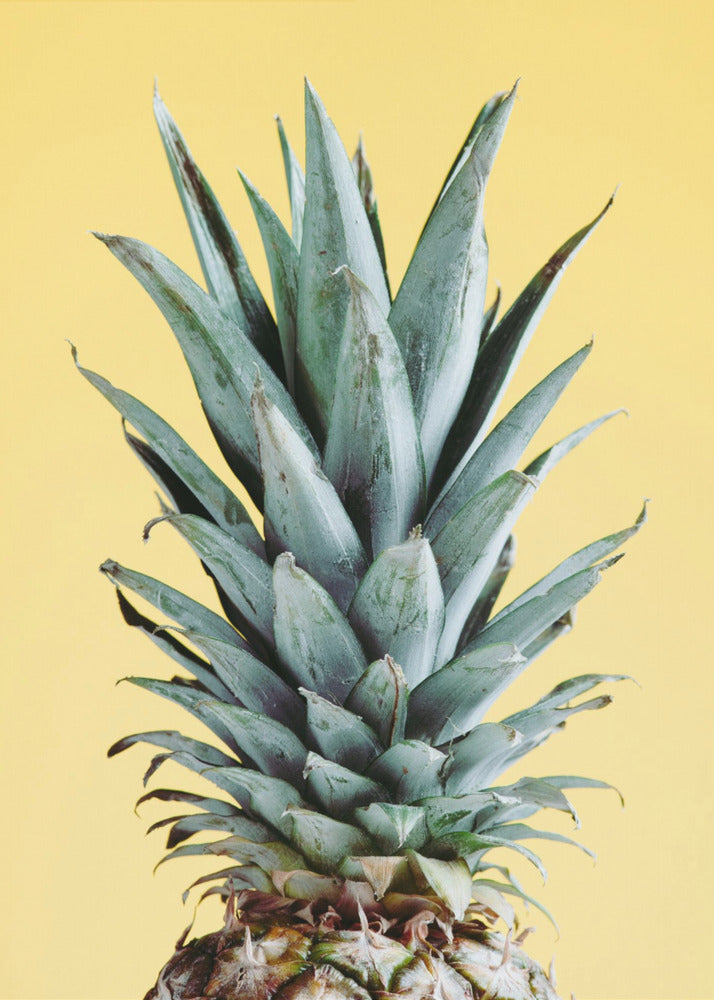 Ananas Gul 03 | Plakater - Kunsttryk