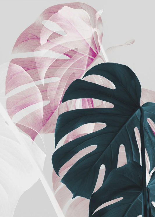 Monstera Creative 08 | Canvas