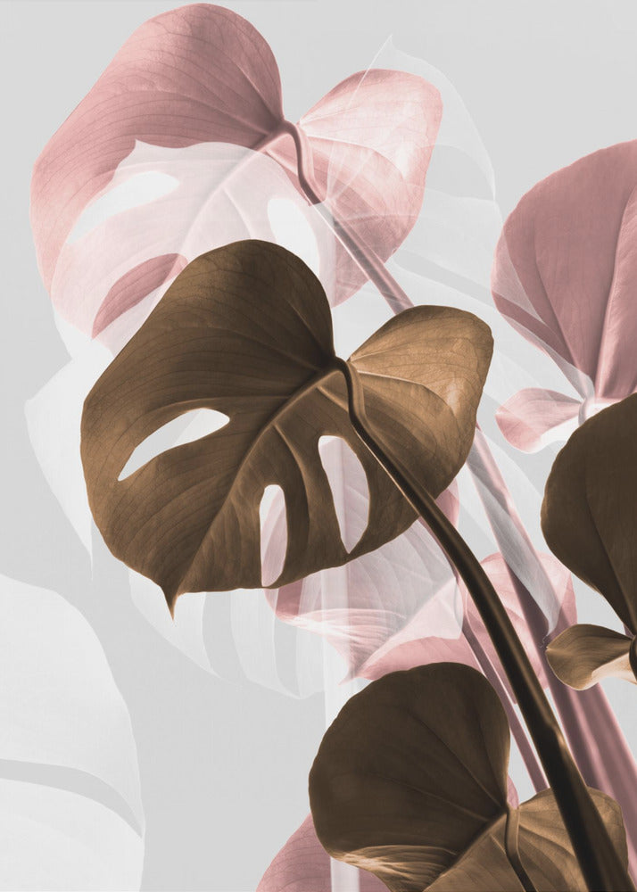 Monstera Kreativ 11 | Lærredsbilleder