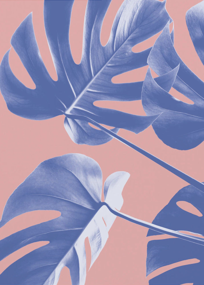 Monstera Lila 06 | Leinwand-Bilder