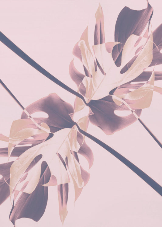 Monstera Kaleidoscope 07 | Canvas