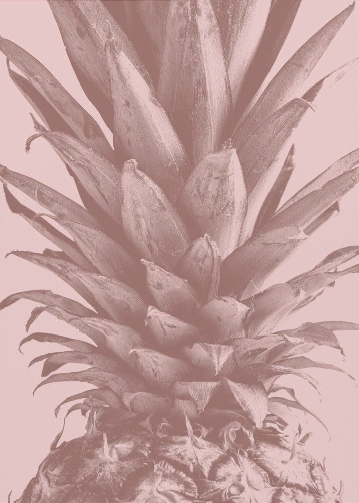 Pineapple Close Up 01 | Canvas