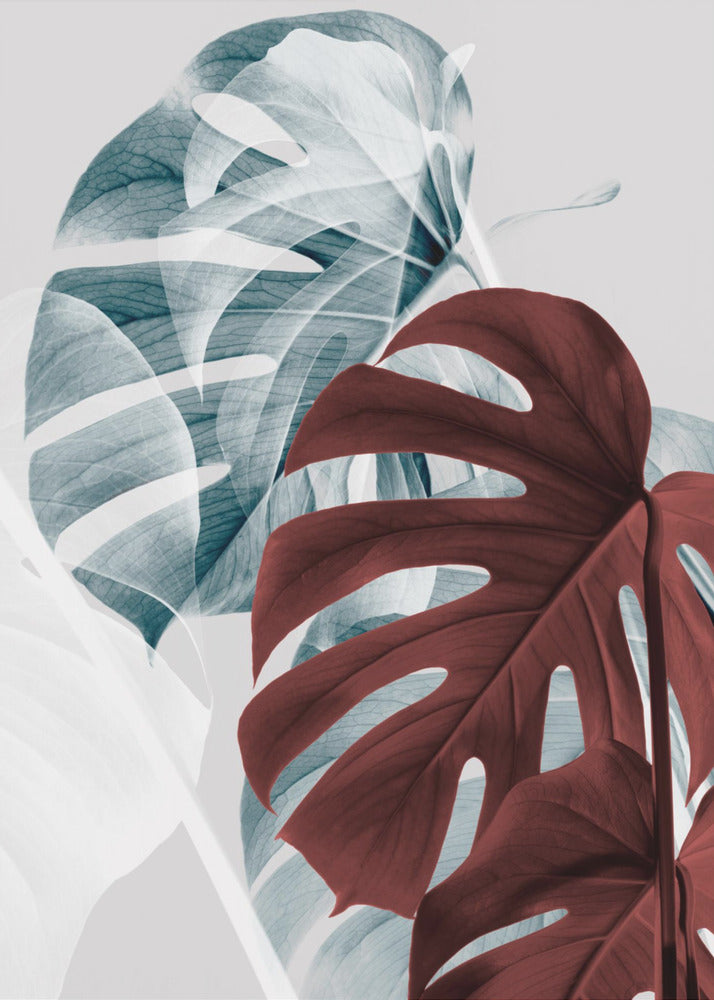 Monstera Kreativ 18 | Lærredsbilleder