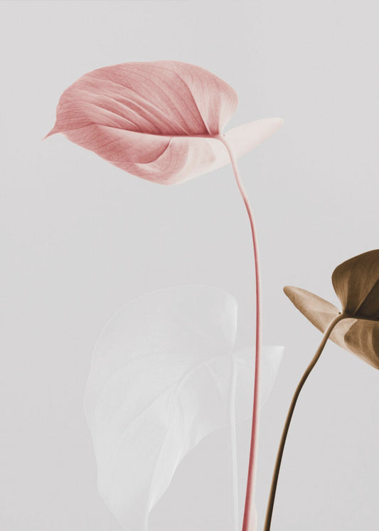 Monstera Creative 21 | Canvas