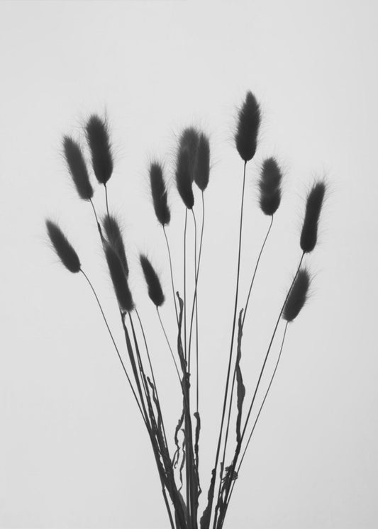 Bunny Grass No 2 | Canvas
