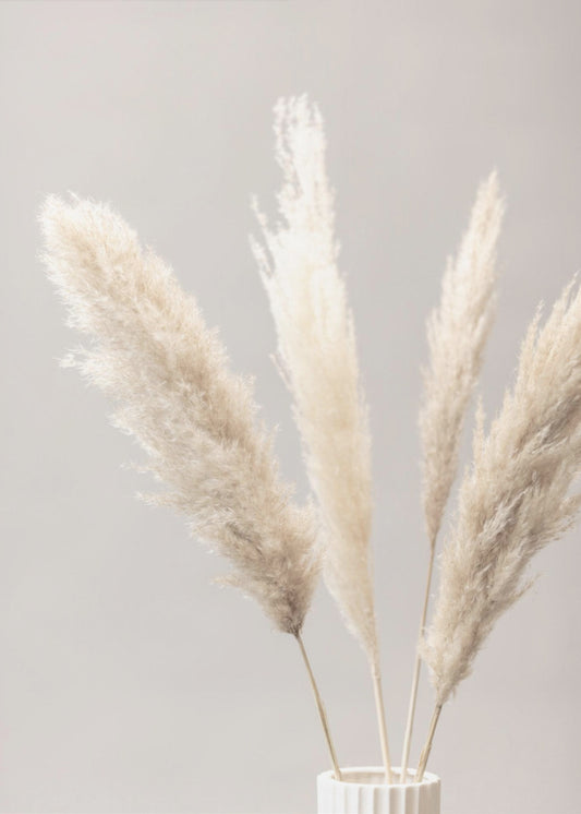 Pampas Grass Grey 05 | Canvas