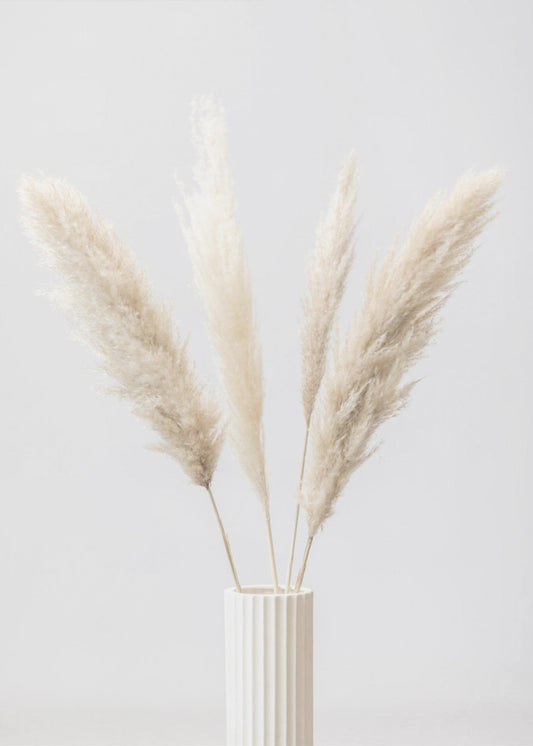 Pampas Grass Grey 09 | Canvas