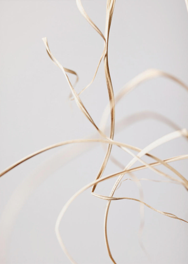 Dried Grass Grey 02 | Poster