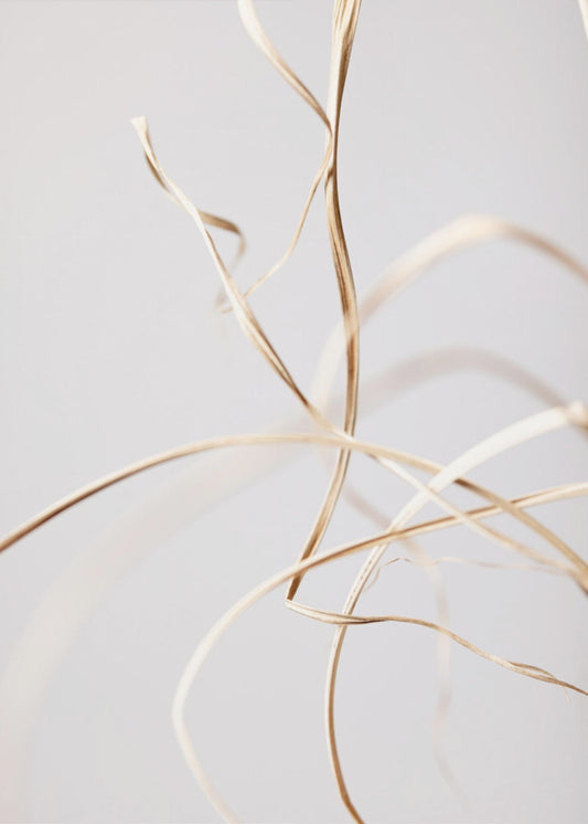 Dried Grass Grey 02 | Canvas