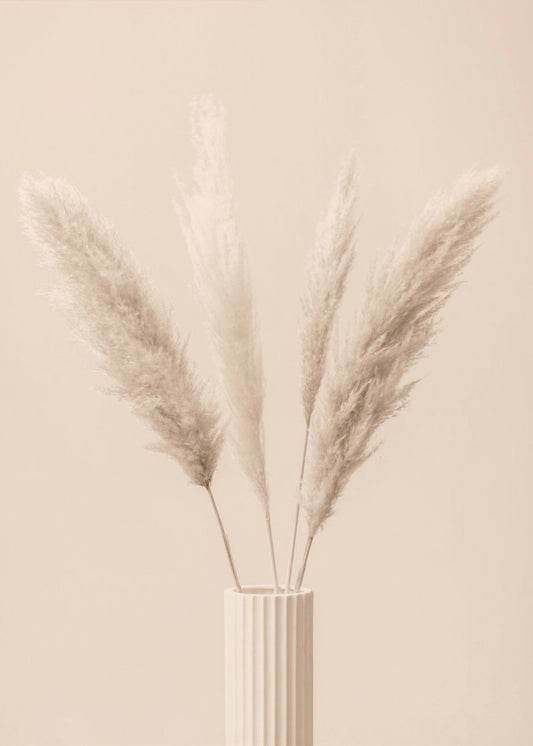 Pampas Grass Beige 09 | Canvas