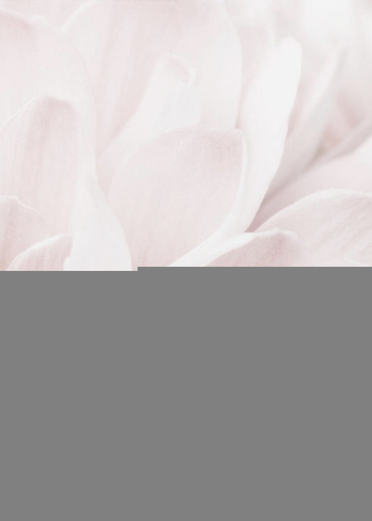 Chrysanthemum No 04 | Poster