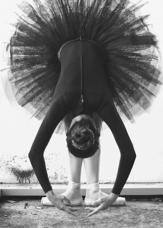 Ballerina | Canvastaulut