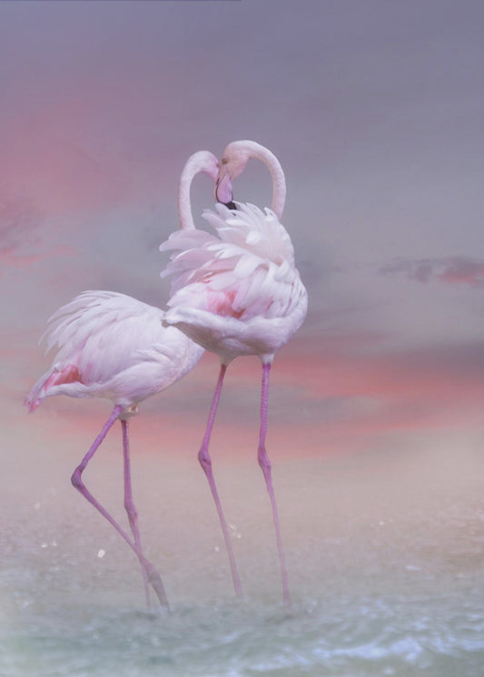 Flamingo Ballet | Canvas