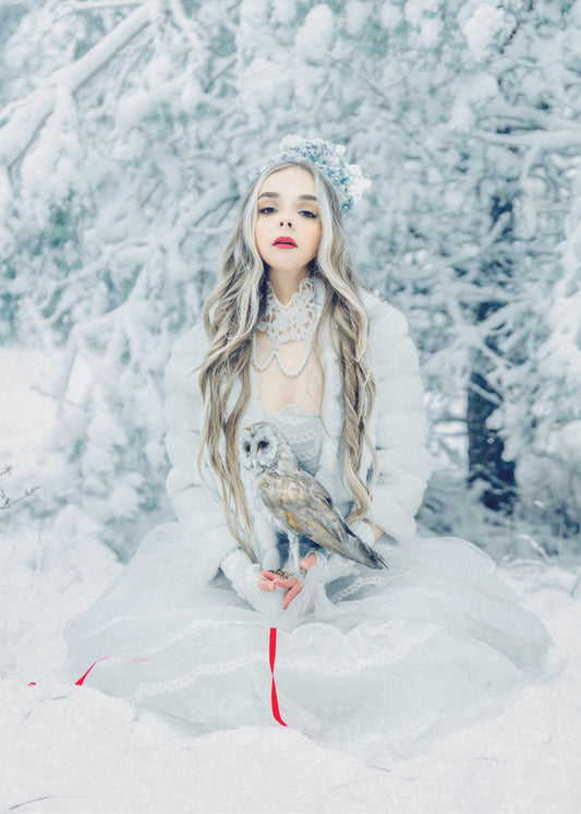 Snöbunden stillhet | Canvas