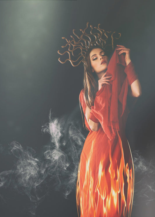 Meduusa | Canvastaulut