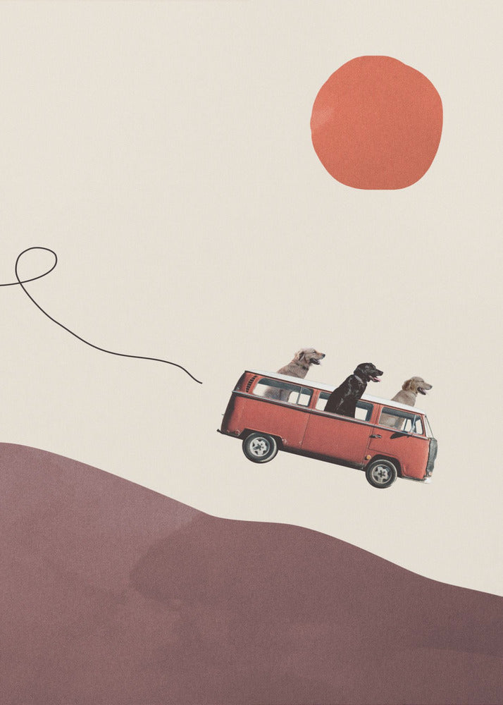 Seikkailujengi | Canvastaulut