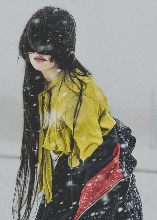 Der Beginn des Schnees | Leinwand-Bilder