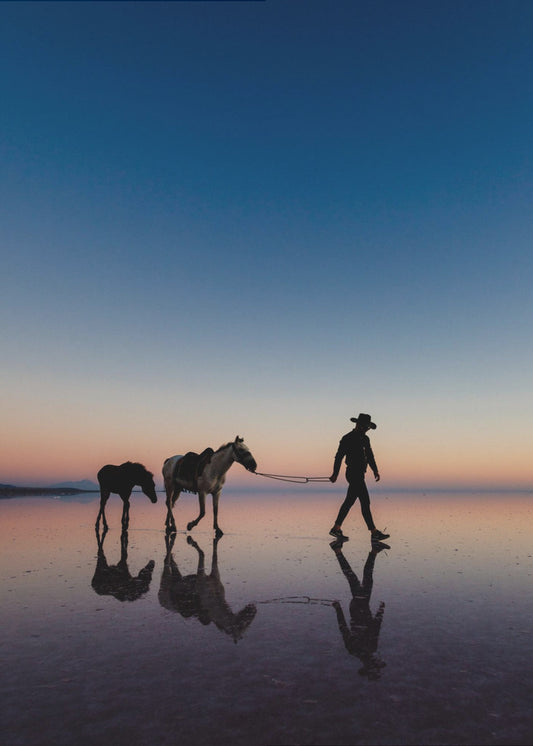 Bez tytułu | Wydruki na łótnie