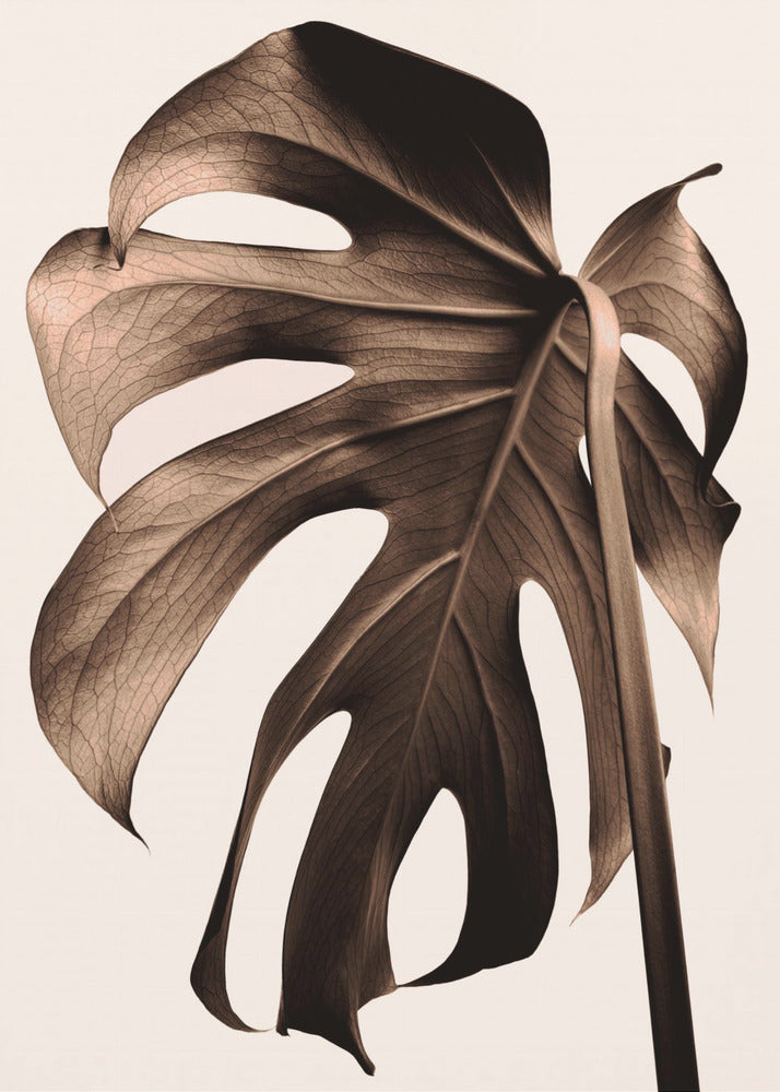 Monstera Goud | Canvasprints