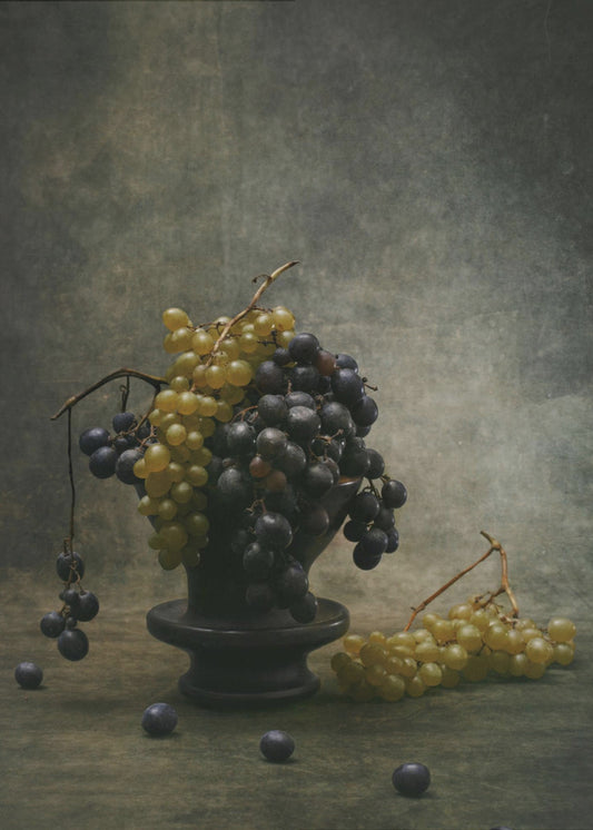 Traube | Poster - Kunstdruck