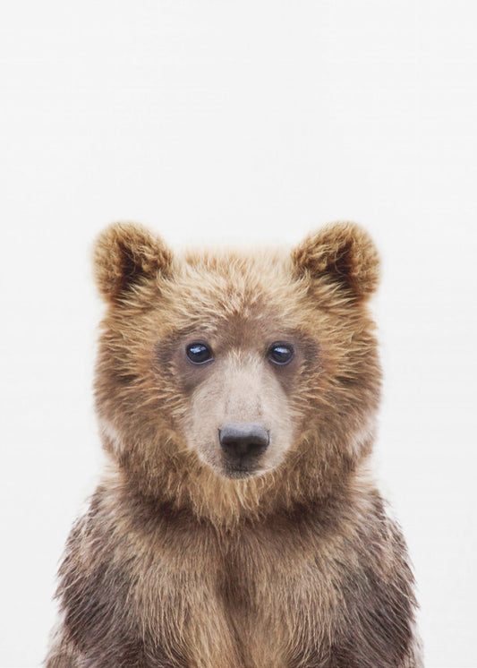 Vauvakarhu | Julisteet - Taidevedokset