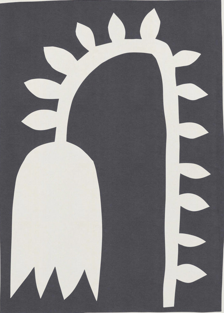 Schwarze Tulpe Nr. 2 | Leinwand-Bilder