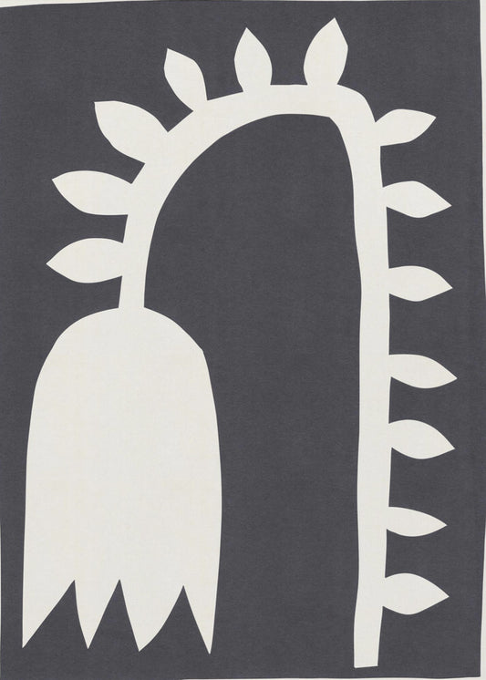 Schwarze Tulpe Nr. 2 | Leinwand-Bilder