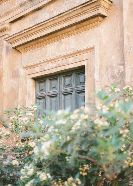 Botanisches Trastevere Rom | Leinwand