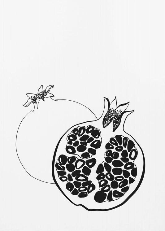 Strichzeichnung Granatäpfel | Poster - Kunstdruck