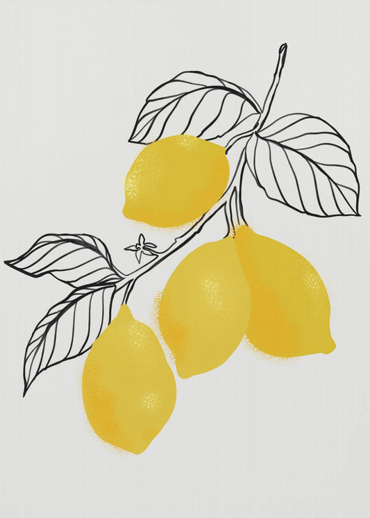 Zitronen | Leinwand-Bilder