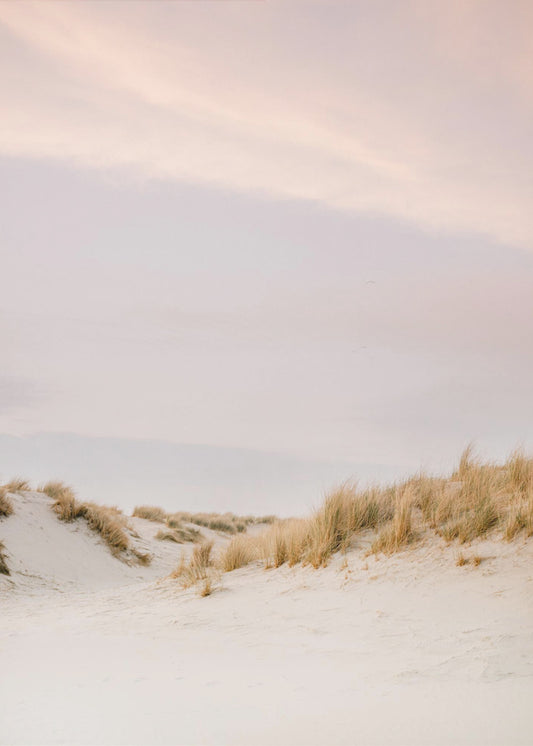 Amelandin dyynit 3 | Canvastaulut