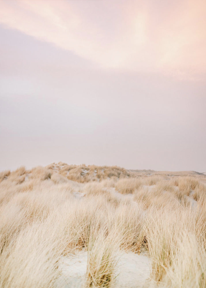 Dunes d'Ameland 2 | Tableaux sur Toile