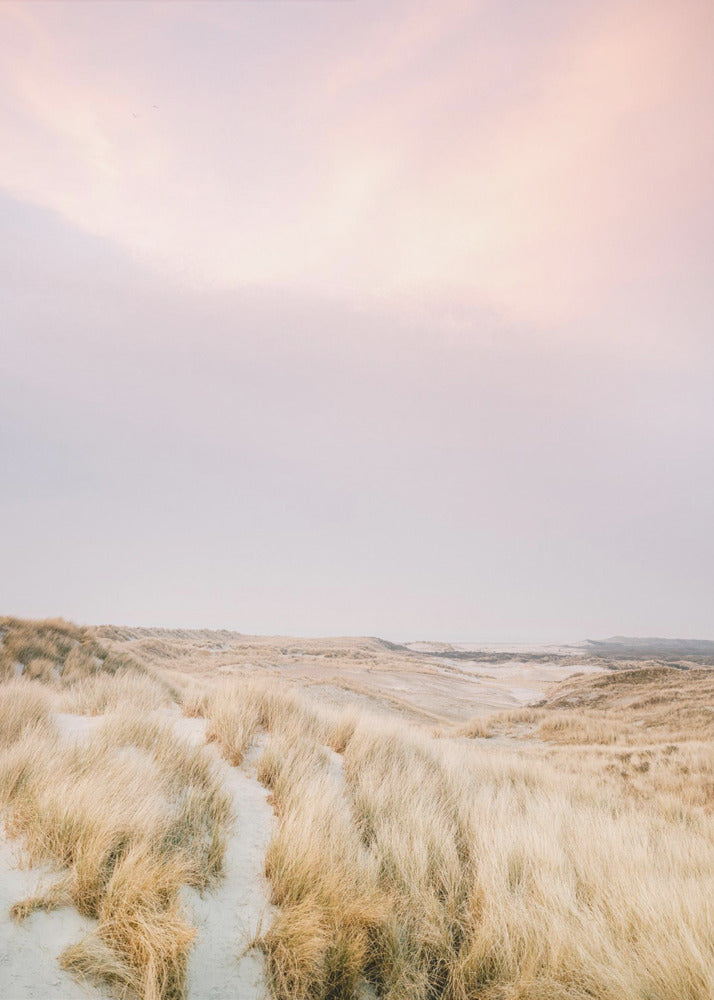 Dunas de Ameland 1 | Impresiones en Lienzo