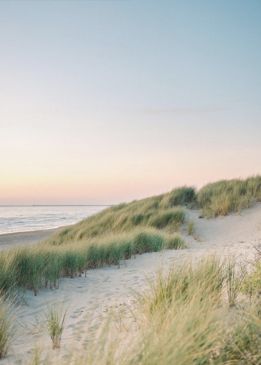 Hollannin dyynit | Canvastaulut