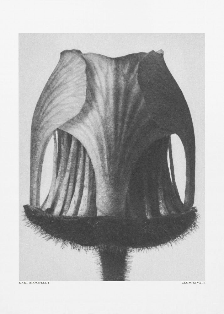 Rywal Geum | Wydruki na łótnie