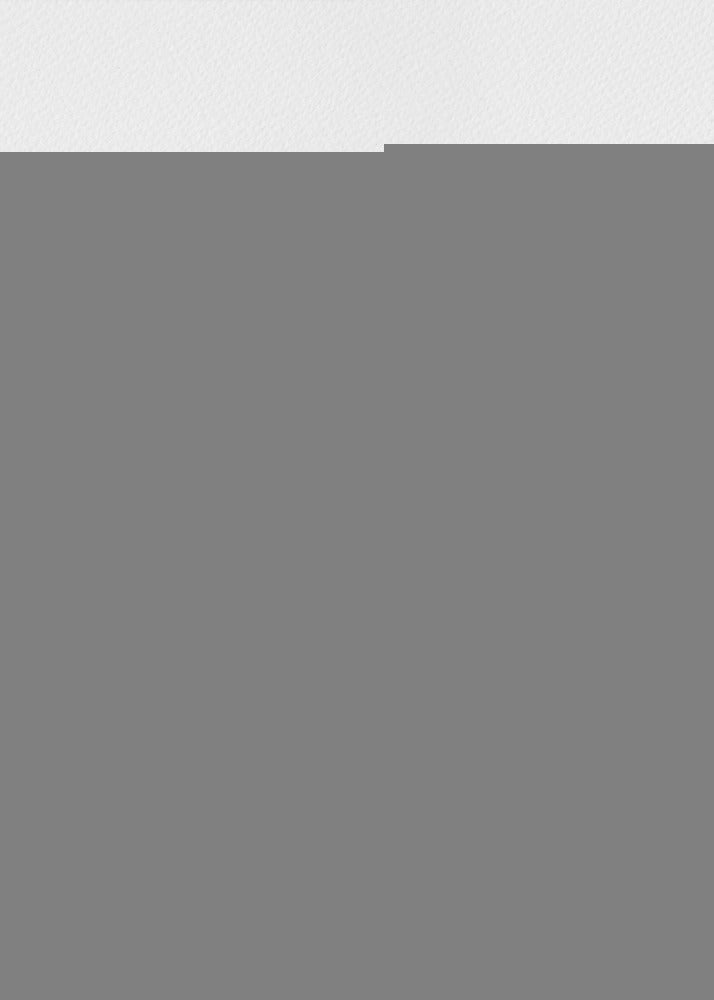 Dirt-colored seed bug or Rhyparochromus vulgaris | Poster