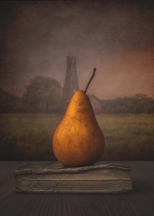 Päärynä | Julisteet - Taidevedokset