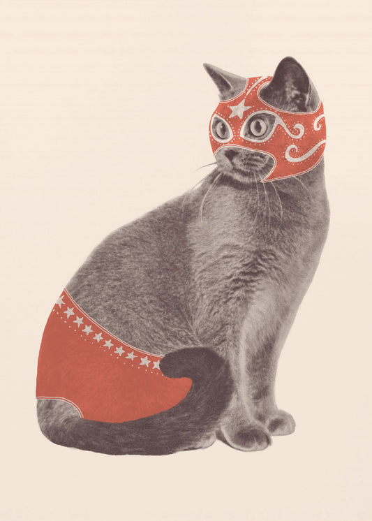 Katzenwrestler | Leinwand-Bilder