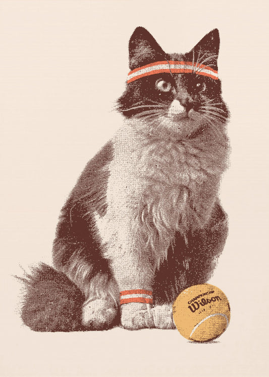 Tenniskatze | Leinwand-Bilder