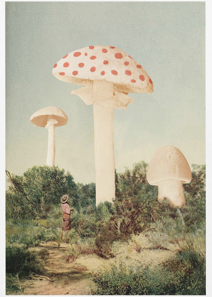 The Finest Giant Mushroom | Canvas