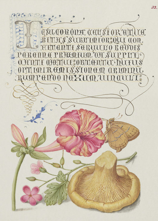 Kalligrafian ihmeelliset monumentit | Canvastaulut