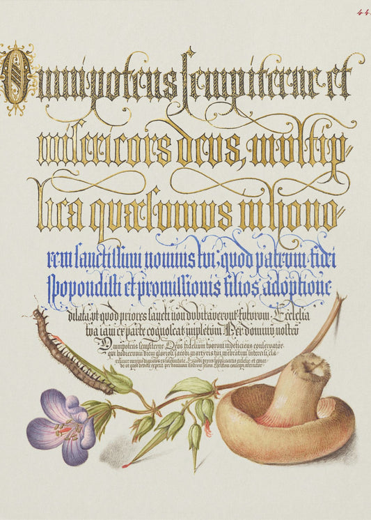 Sieni Julisteet - Taidevedokset | Canvastaulut