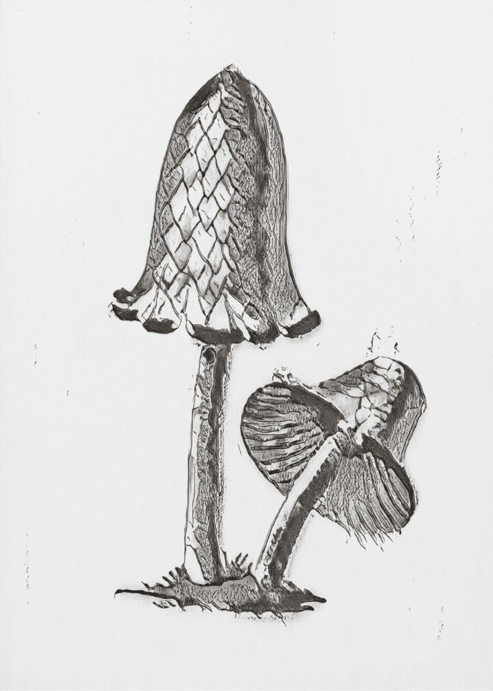 Jadalny grzyb w kolorze Inky Cap w kolorze czarno-białym | Wydruki na łótnie