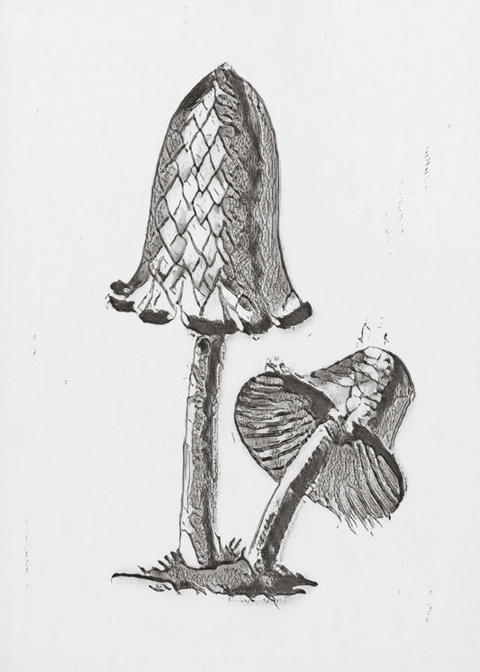 Vintage Inky Cap Syötävä sieni BW Kirkas | Canvastaulut