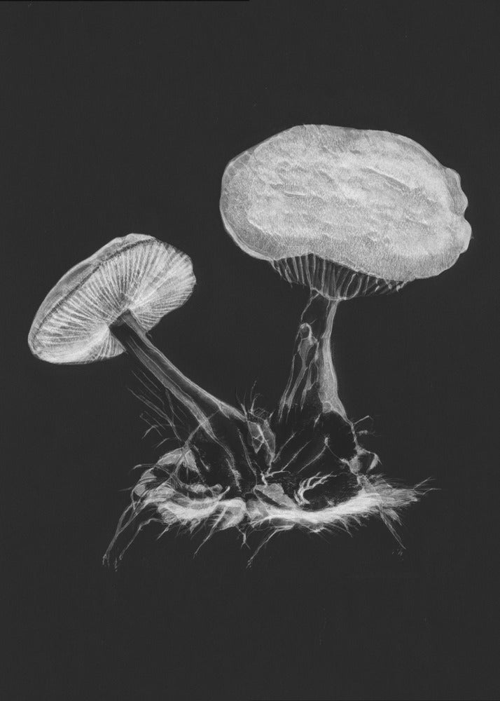 Vintage Violet Webcap Mushroom Mørk B/W | Lærredsbilleder